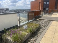Images for Neptune Marina, Coprolite Street, Ipswich Waterfront