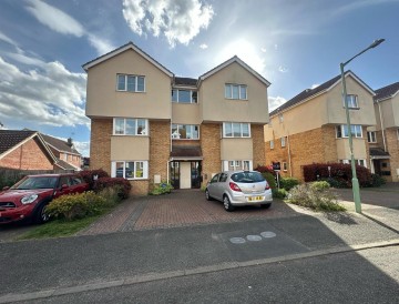 image of 45, Treeview