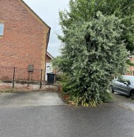 Images for Heron Close, Stowmarket