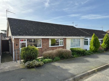 image of 7, Treeview