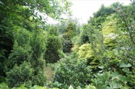 Images for Maidstone Road, Felixstowe, Suffolk, IP11