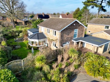 image of 4, Pinewood