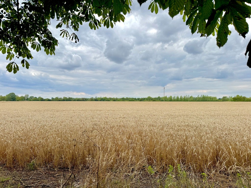 Images for The Green, Saxtead