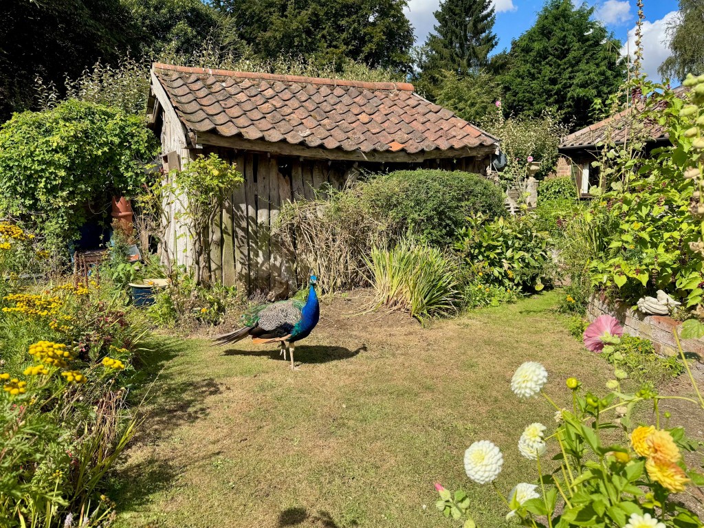 Images for Church Lane, Shottisham, Woodbridge