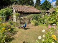 Images for Church Lane, Shottisham, Woodbridge