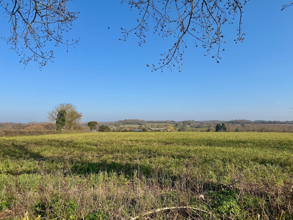 Images for Hall Bungalow, Stratford St. Andrew, Saxmundham