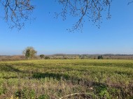 Images for Hall Bungalow, Stratford St. Andrew, Saxmundham