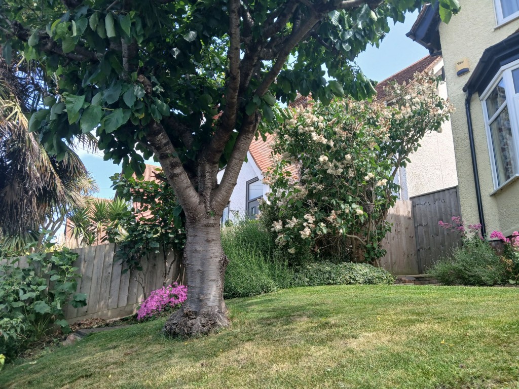 Images for Garrison Lane, Felixstowe