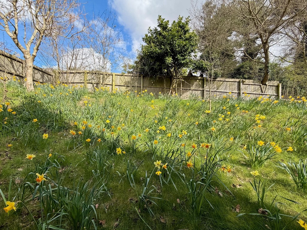 Images for Shannon Heights, Hollesley, Woodbridge